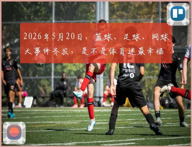 2026年5月20日，篮球、足球、网球大事件齐发，是不是体育迷最幸福也最累的一天